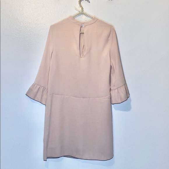 Zara Blush Ruffle Dress - Picture 3 of 3